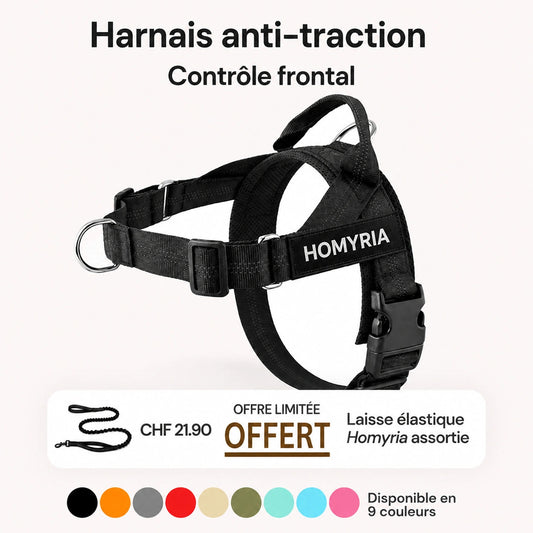 Harnais anti-traction pour chien Homyria Homyria