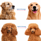 Outil de démêlage professionnel pour chiens et chats – Doux, efficace et pour une maison sans poils HappyPets