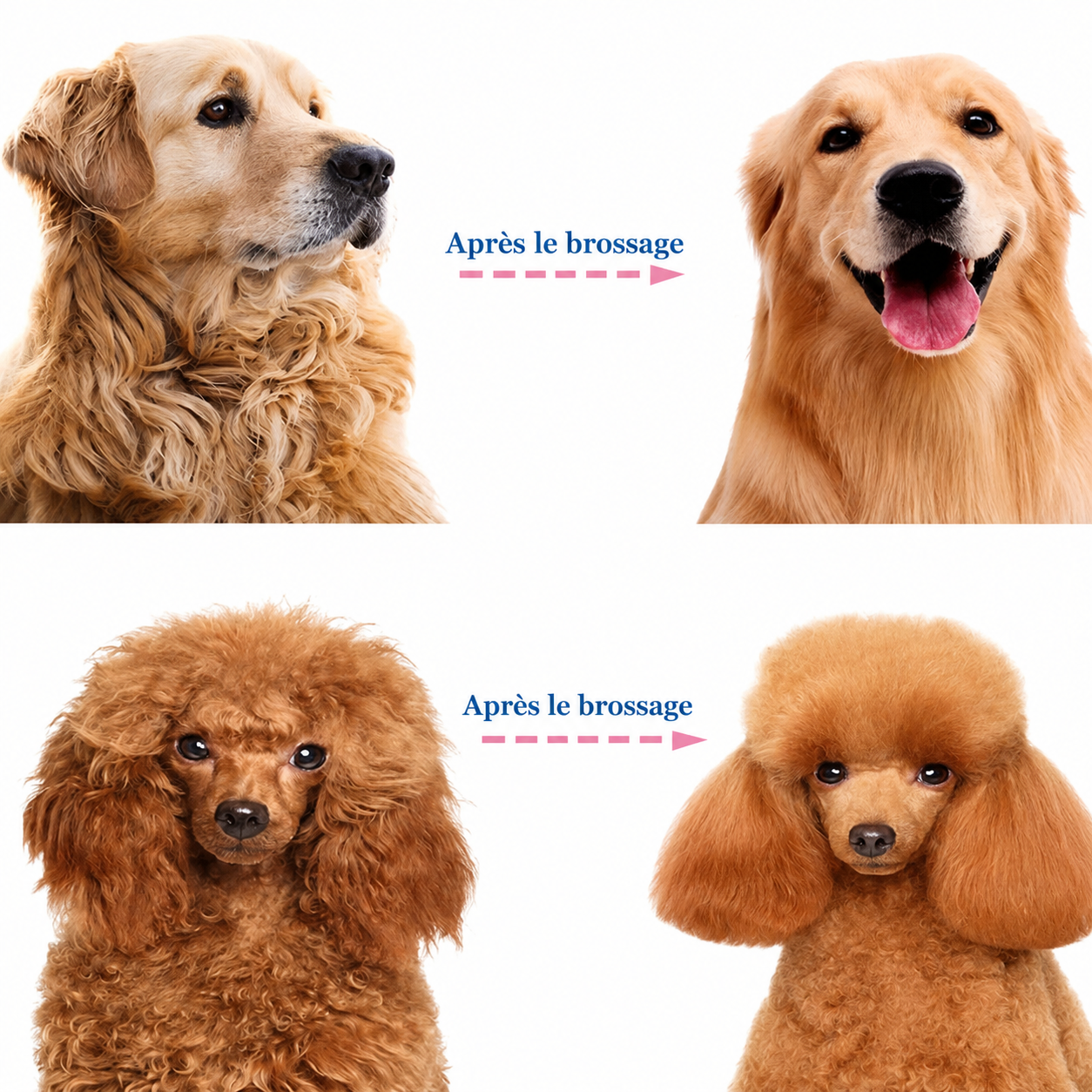 Outil de démêlage professionnel pour chiens et chats – Doux, efficace et pour une maison sans poils HappyPets