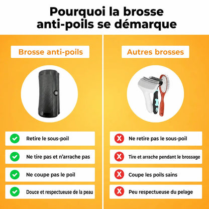 Brosse anti-poils pour animaux - Notre produit phare Homyria