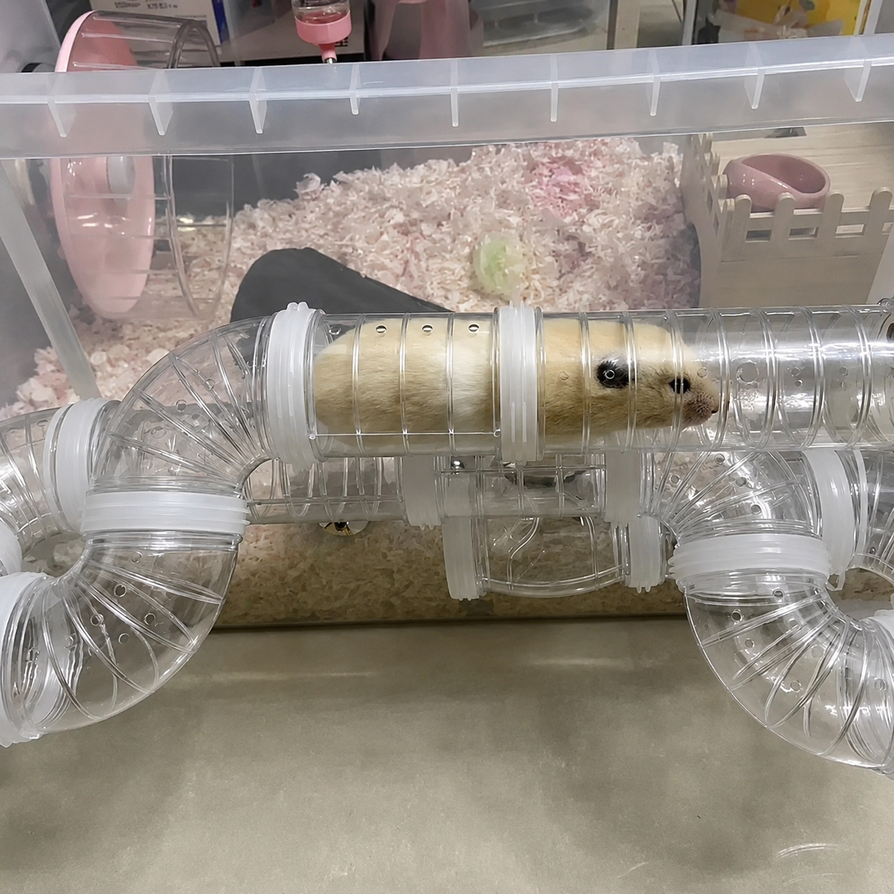 Tunnel pour hamster HappyPets