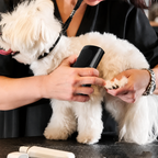 Brosse multifonction pour chien et chat HappyPets