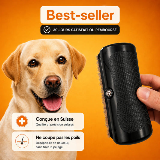 Brosse anti-poils pour animaux - Notre produit phare Homyria