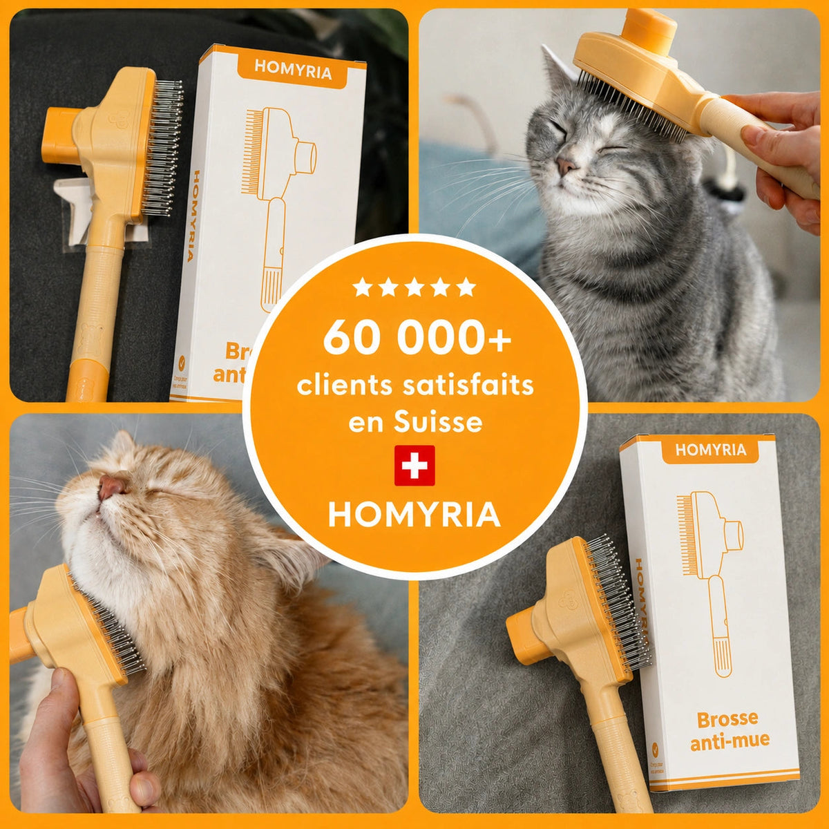 Brosse anti-mue Homyria Homyria