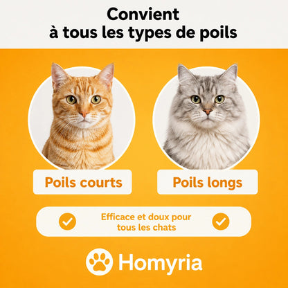 Brosse anti-mue Homyria Homyria