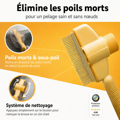 Brosse anti-mue Homyria Homyria