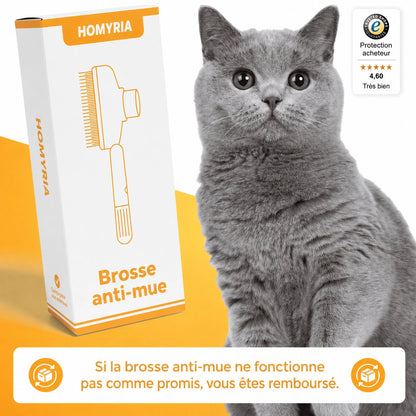 Brosse anti-mue Homyria Homyria