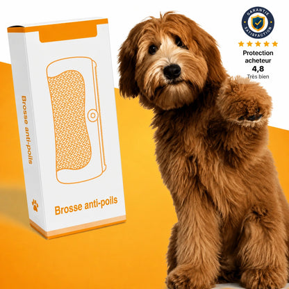 Brosse anti-poils pour animaux - Notre produit phare Homyria
