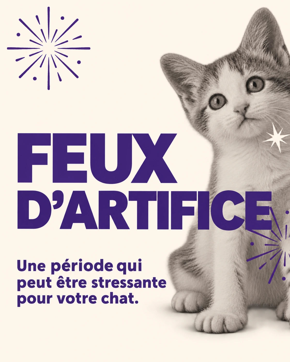 Les bruits et feux d’artifice peuvent inquiéter les chats