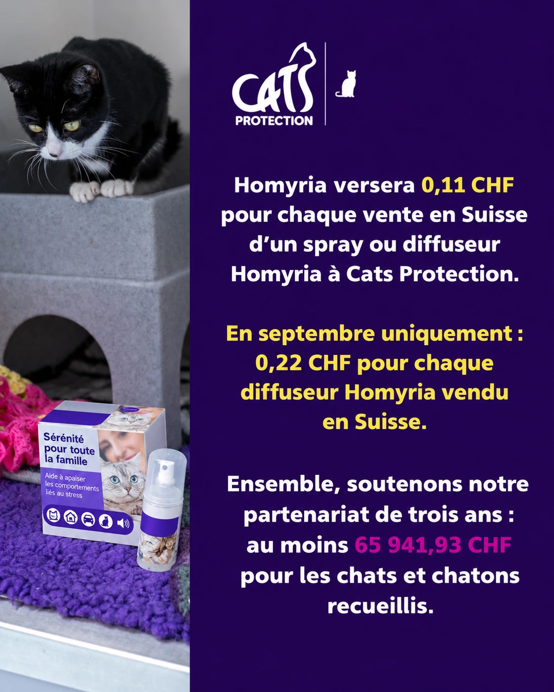 Engagement solidaire