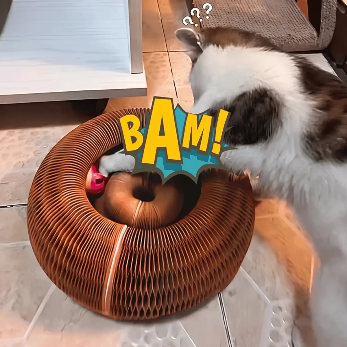 Lit griffoir et de jeu Homyria pour chat