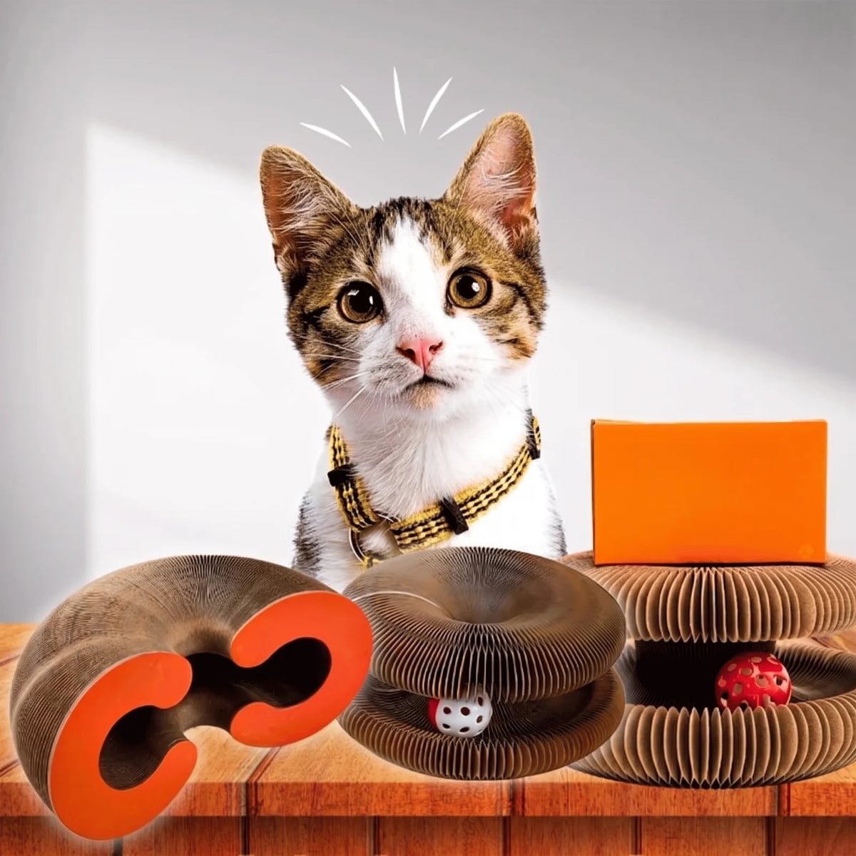 Lit griffoir et de jeu Homyria pour chat
