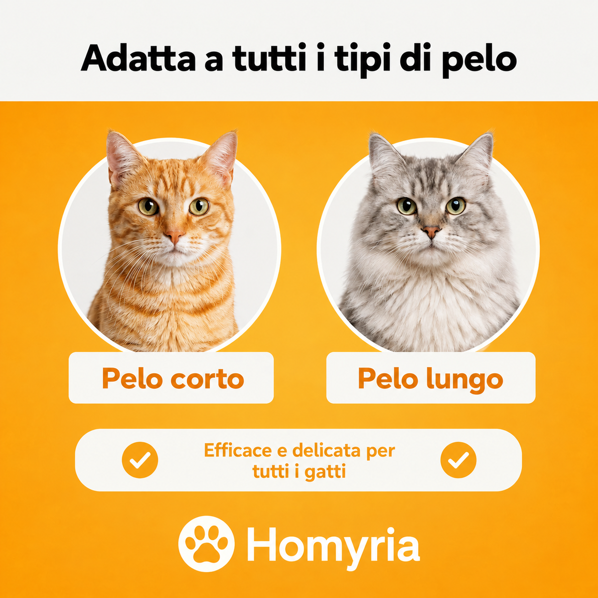 Spazzola Homyria per il sottopelo dei gatti
