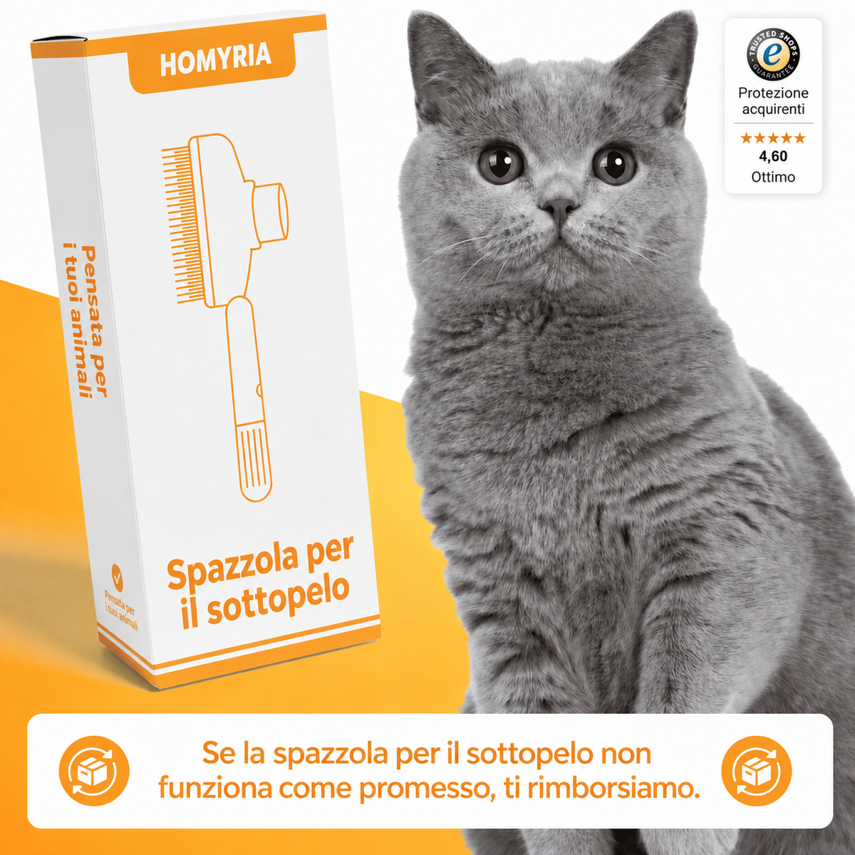 Spazzola Homyria per il sottopelo dei gatti