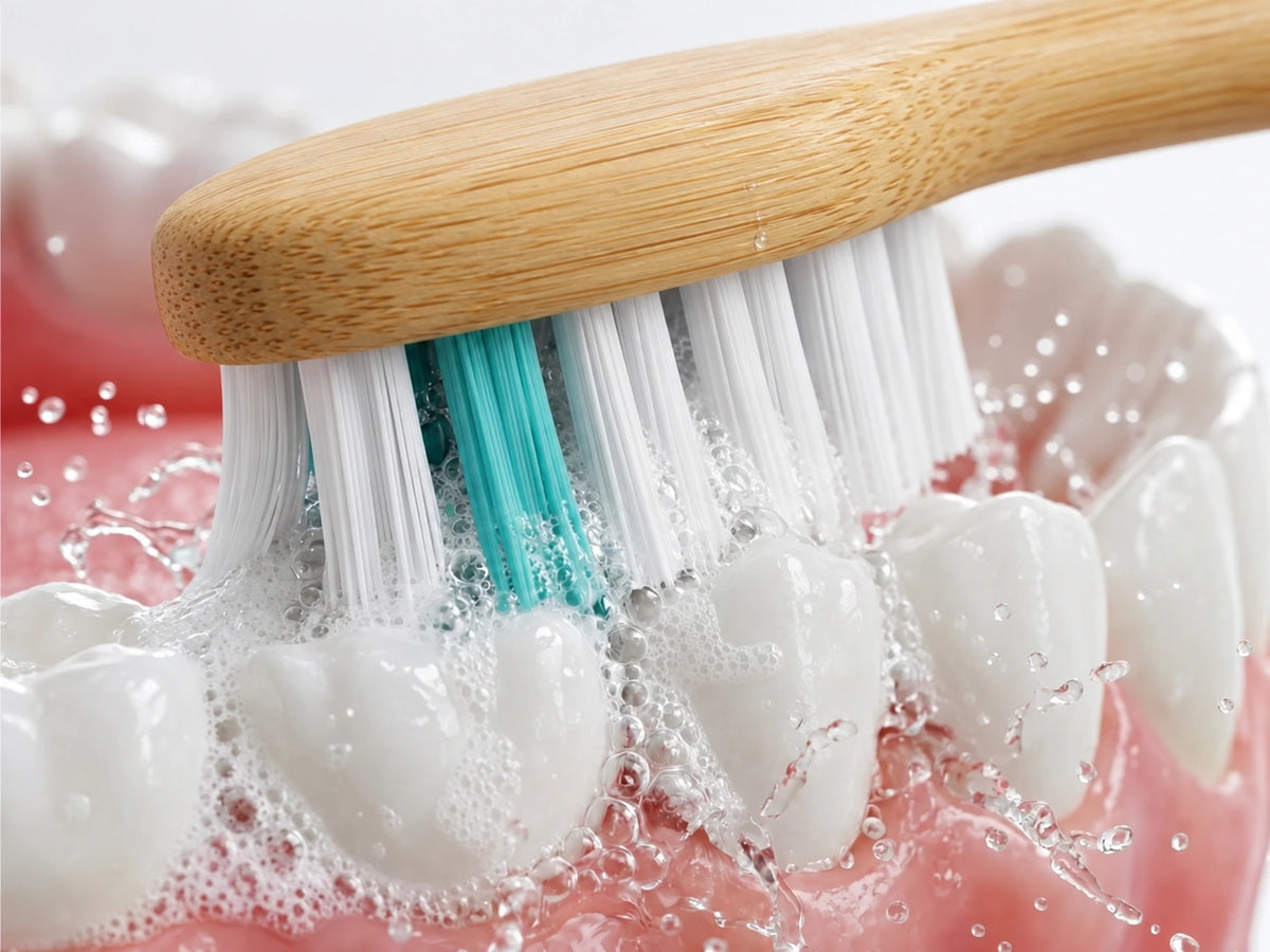 Testina durante la pulizia dei denti