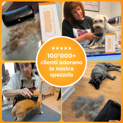 Spazzola per il sottopelo Homyria