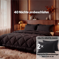 2-in-1-Bettdecke Homyria – Komfort, Pflege und Kundenbewertungen