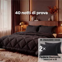 Piumino 2 in 1 Homyria – Comfort, manutenzione e recensioni dei clienti
