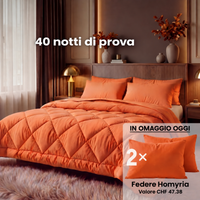 Piumino 2 in 1 Homyria – Comfort, manutenzione e recensioni dei clienti