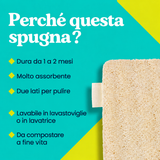 I vantaggi della spugna Homyria