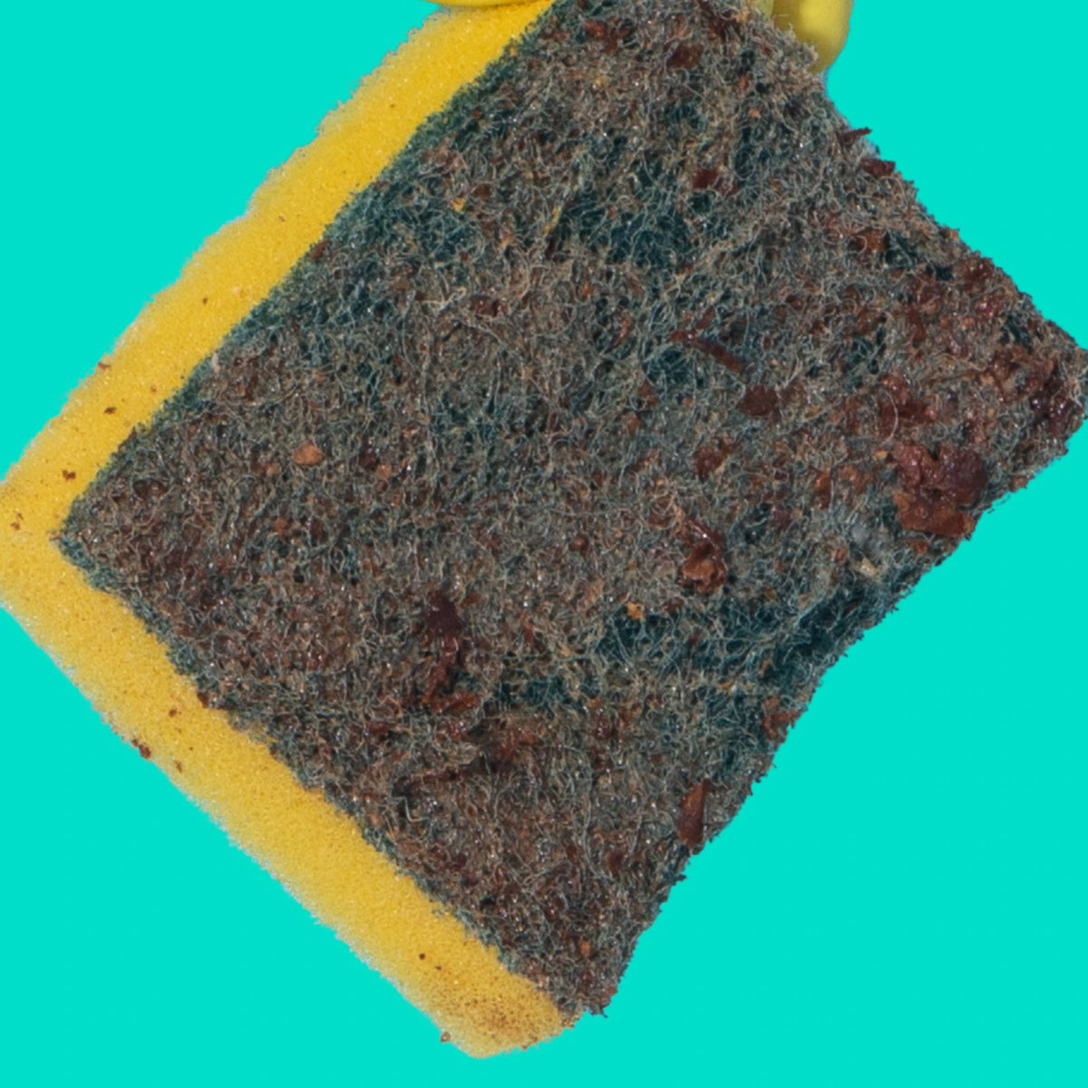 Spugna tradizionale verde e gialla