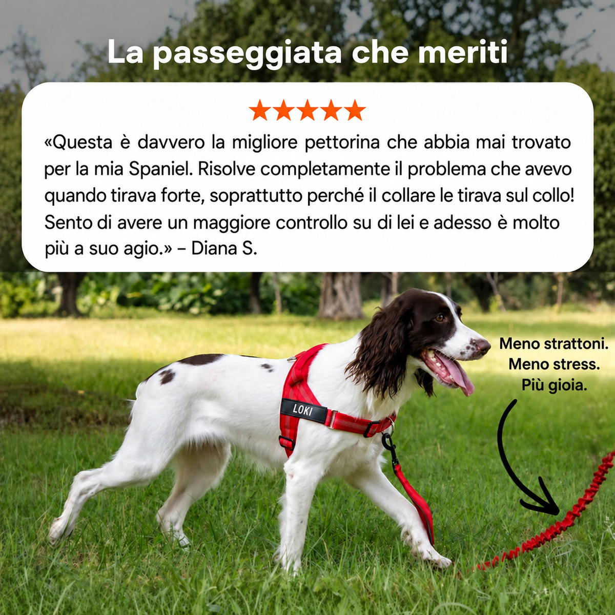 Pettorina anti-tiro Homyria – comfort, agganci e utilizzo