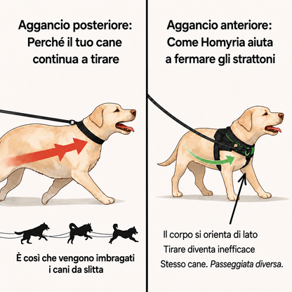 Pettorina anti-tiro Homyria – comfort, agganci e utilizzo