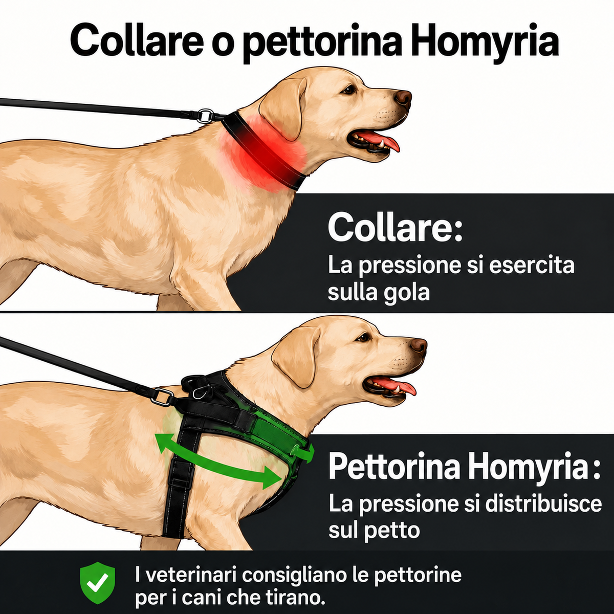 Pettorina anti-tiro Homyria – comfort, agganci e utilizzo