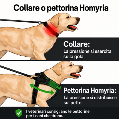 Pettorina anti-tiro Homyria – comfort, agganci e utilizzo