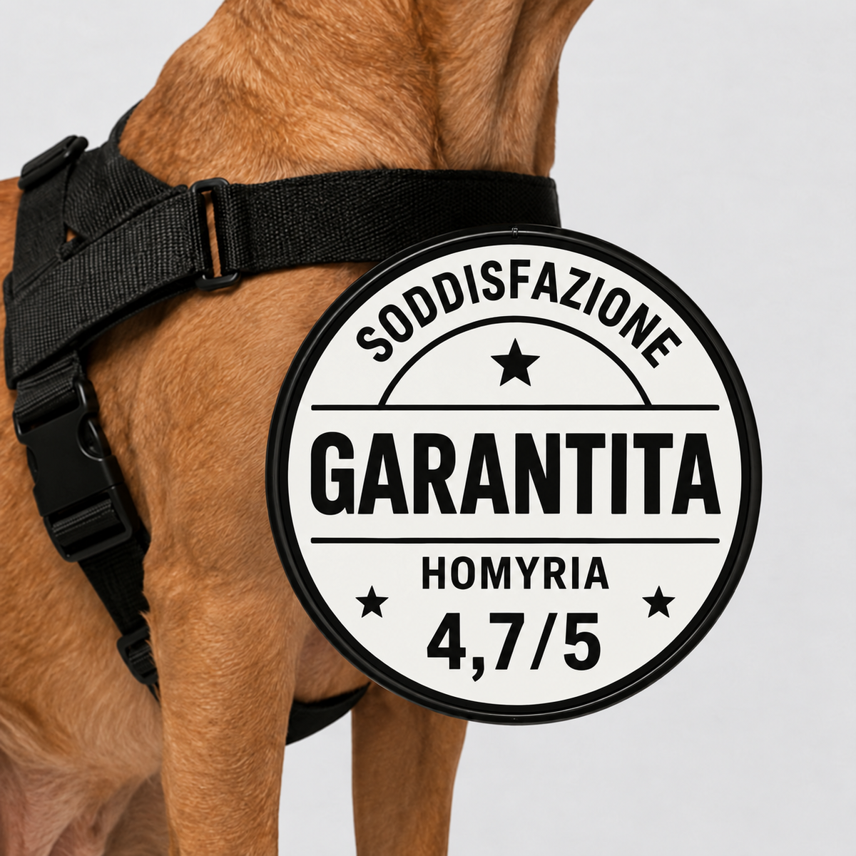 Pettorina anti-tiro Homyria