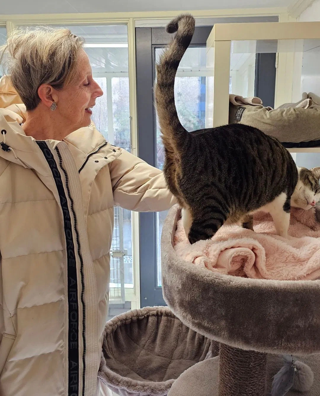 Katzenheime unterstützen