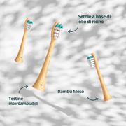 Testine intercambiabili in bambù con setole a base di olio di ricino